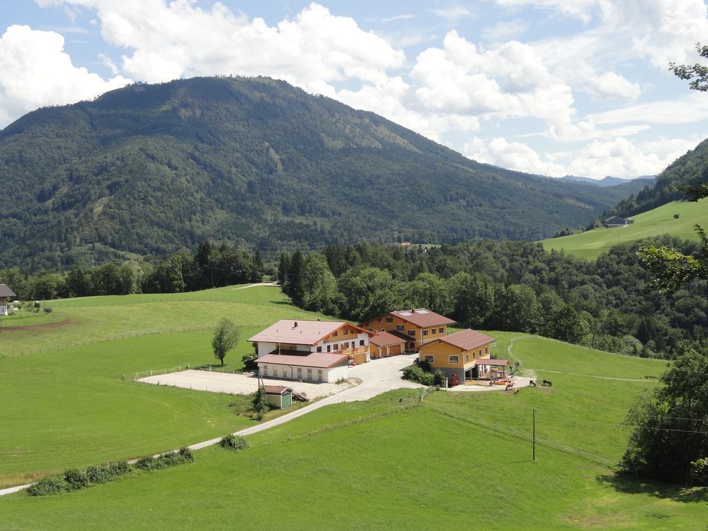 Appartement Gut Mitterlehen à Elsbethen Extérieur photo